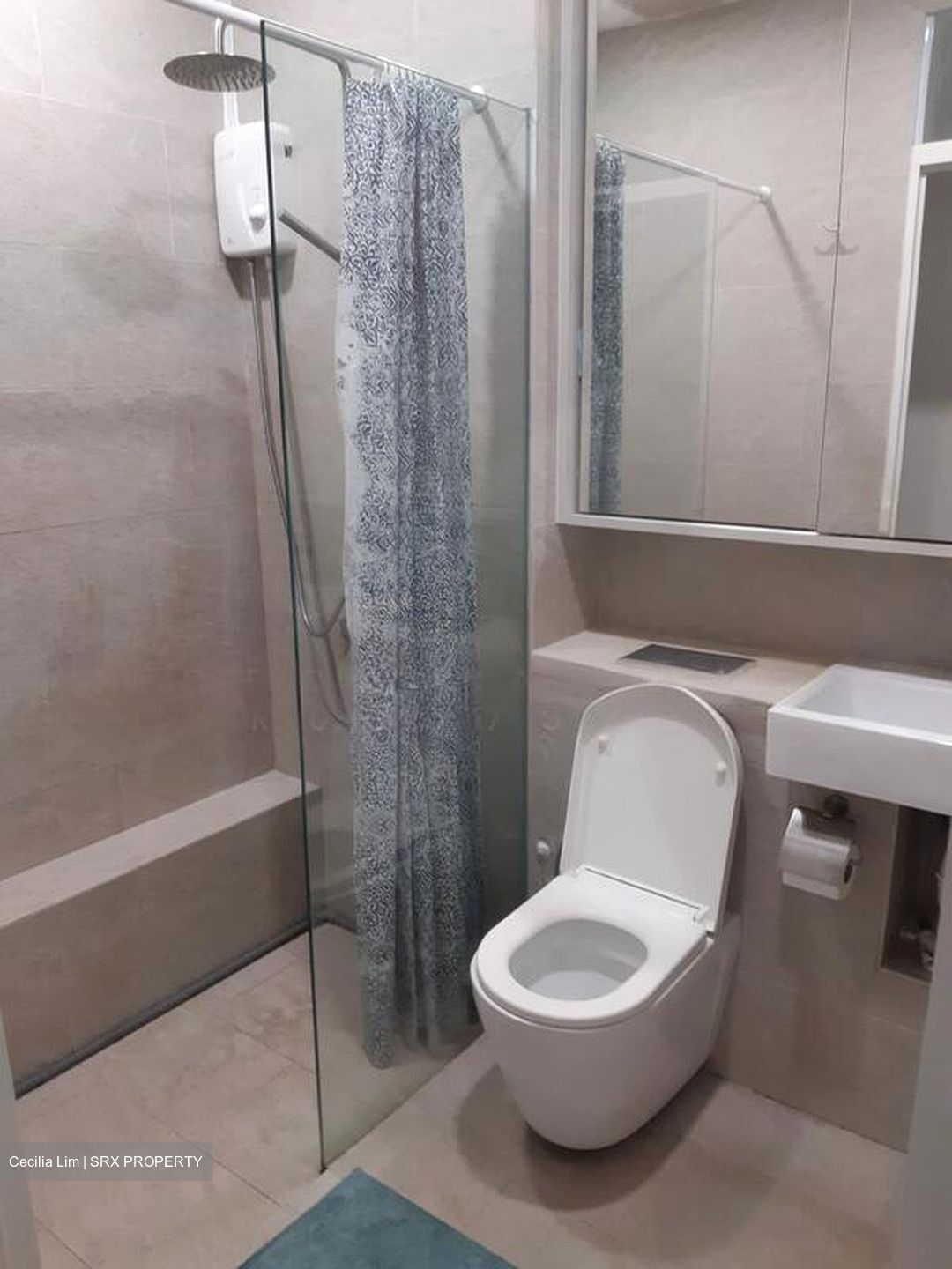 Mandarin Park (D21), Apartment #516932081